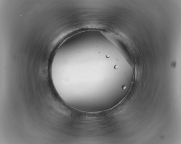 X0000090450531200707272217