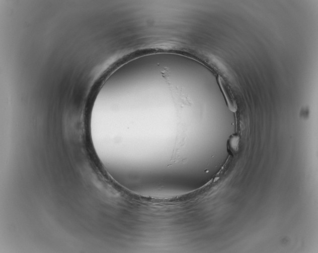 X0000090450532200707272217