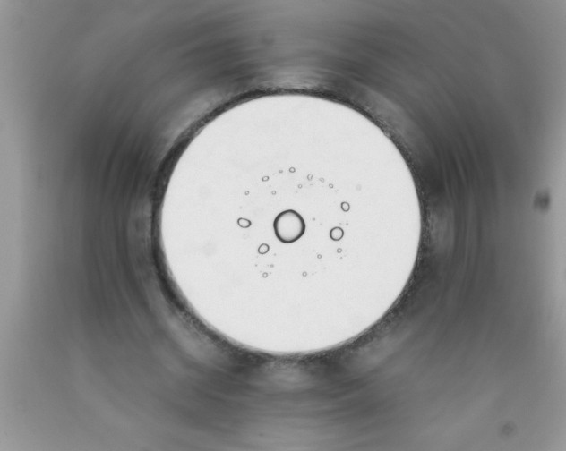 X0000090450534200707272217