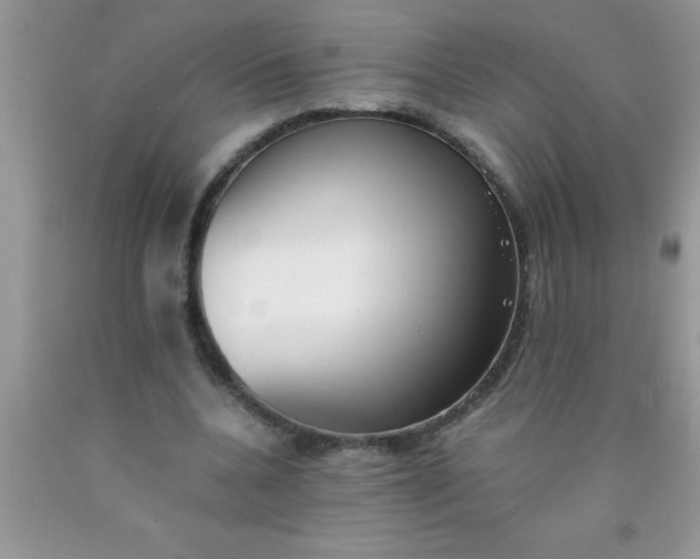 X0000090450536200707272217