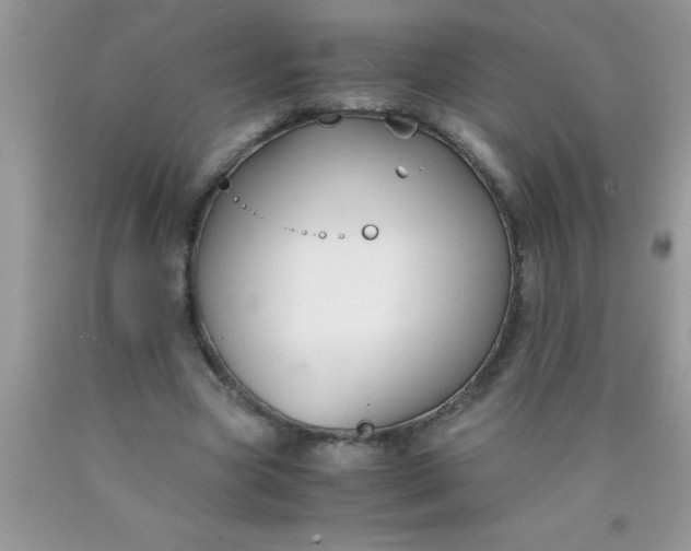 X0000090450537200707272217