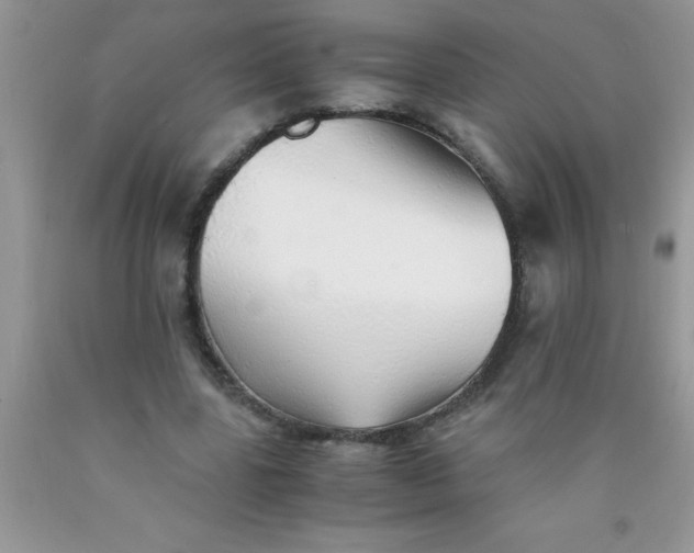 X0000090450539200707272217