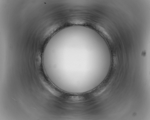 X0000090450541200707272217