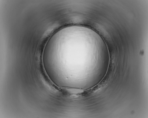 X0000090450542200707272217