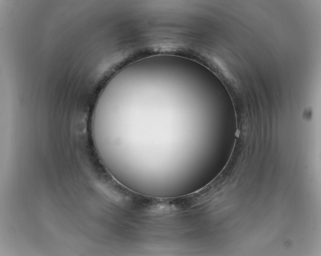 X0000090450543200707272217