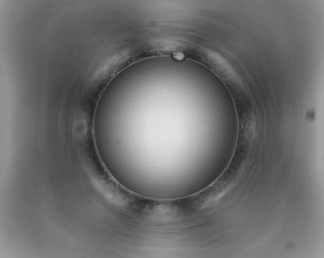 X0000090450546200707272217