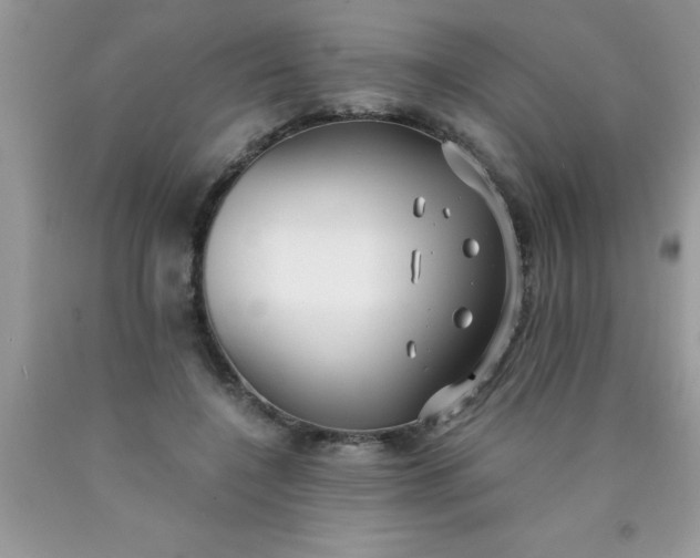 X0000090450548200707272217