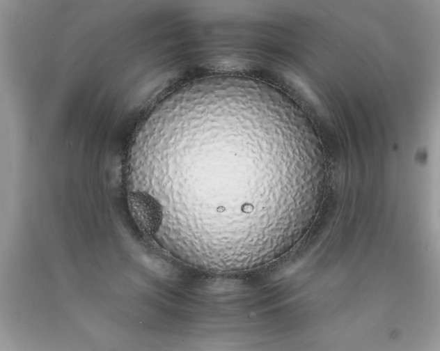 X0000090450549200707272217