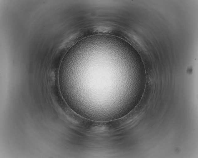 X0000090450551200707272217