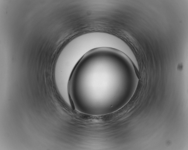 X0000090450552200707272218