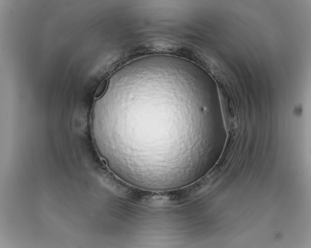 X0000090450554200707272218