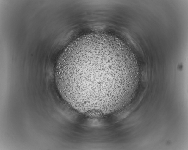 X0000090450561200707272218