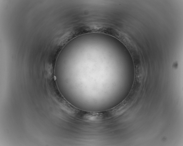 X0000090450563200707272218