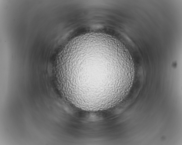 X0000090450565200707272218