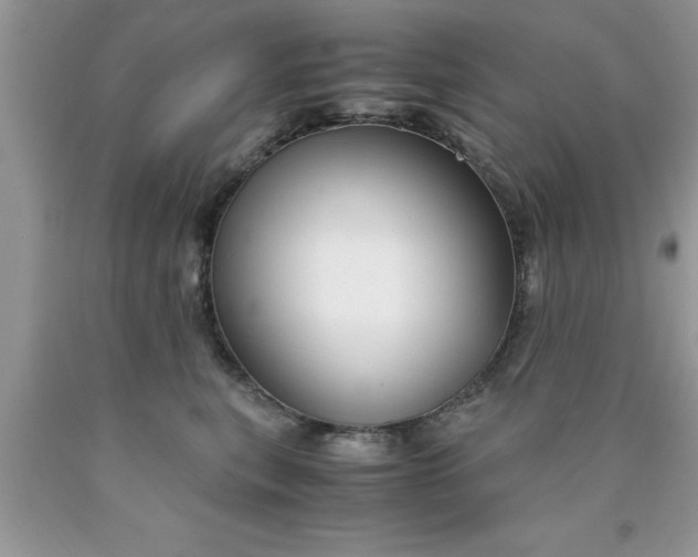 X0000090450567200707272218