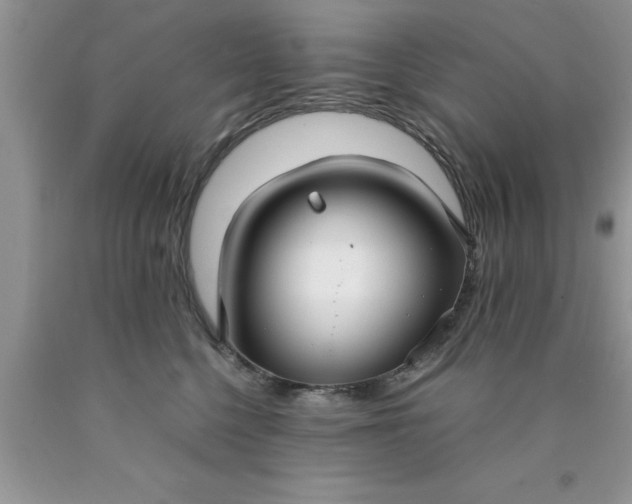 X0000090450568200707272218