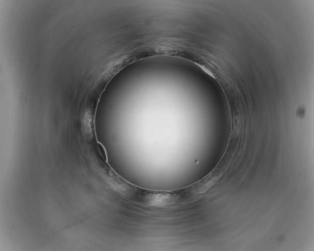 X0000090450575200707272218