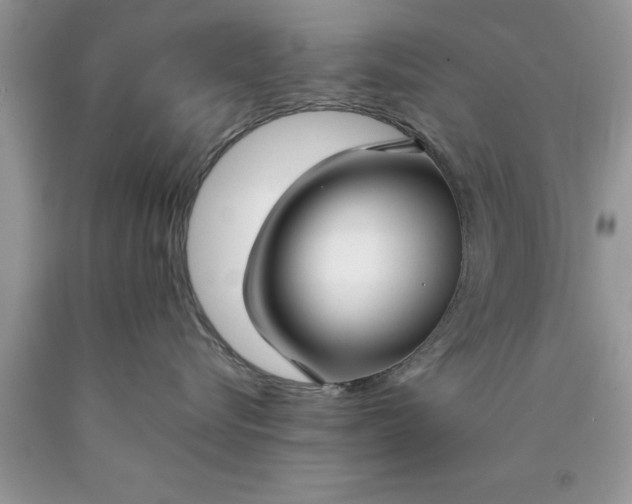 X0000090450576200707272218