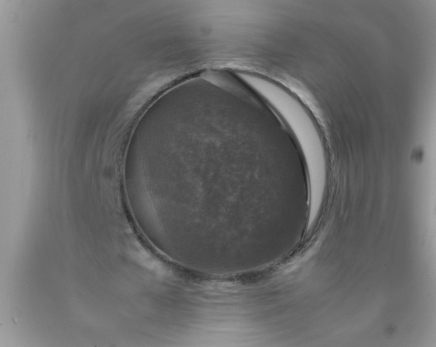 X0000090450577200707272217