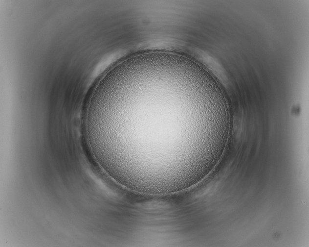 X0000090450578200707272217