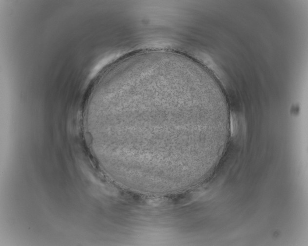 X0000090450579200707272217