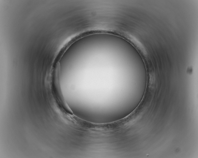 X0000090450580200707272217