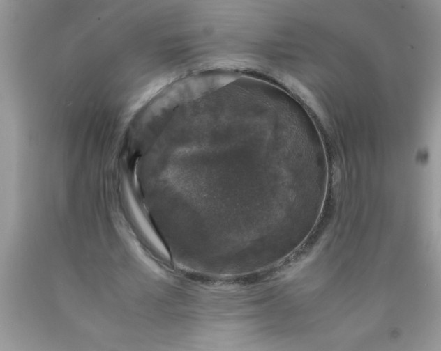 X0000090450581200707272217