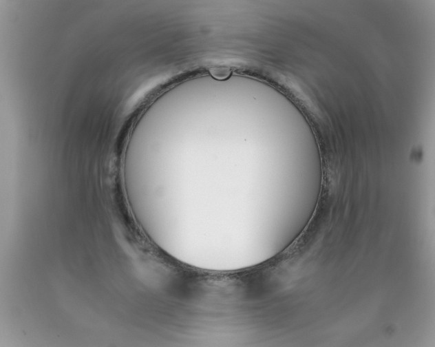 X0000090450583200707272217