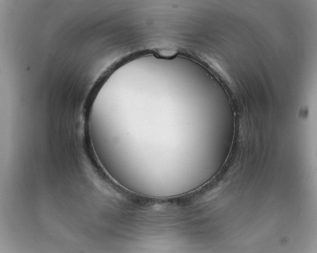 X0000090450584200707272217