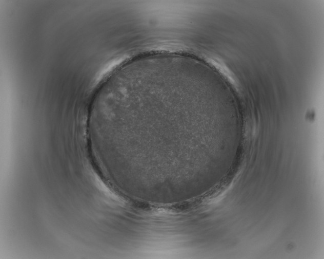 X0000090450585200707272217