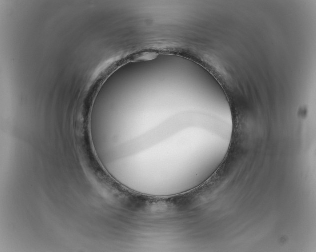 X0000090450587200707272217