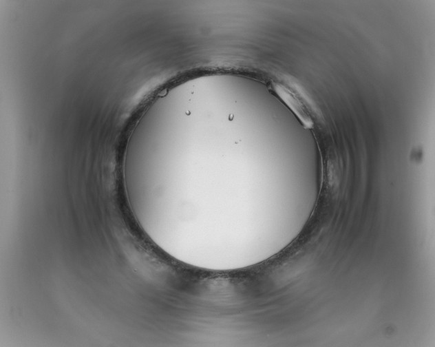 X0000090450588200707272217