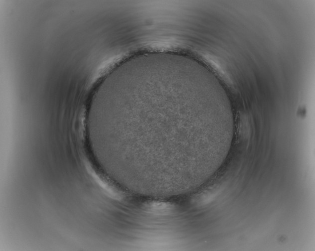 X0000090450590200707272217