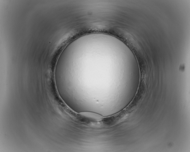 X0000090450591200707272217