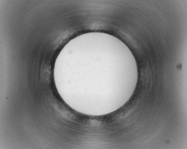 X0000090450592200707272217