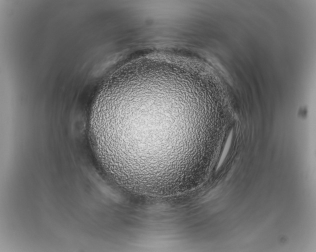 X0000090450593200707272217