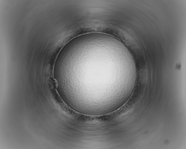 X0000090450594200707272217