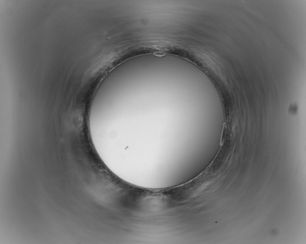 X0000090450595200707272217