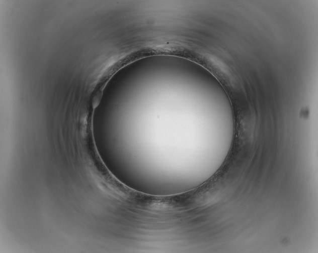 X0000090450596200707272217