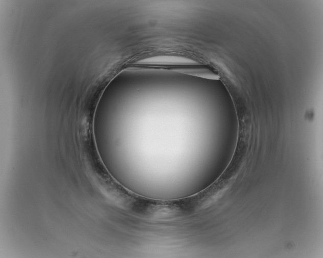 X0000090450597200707272217