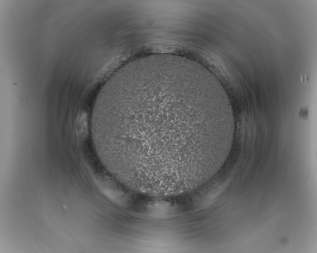 X0000090450598200707272217