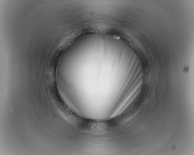 X0000090450599200707272217