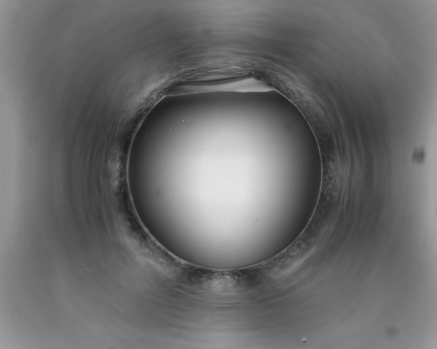 X0000090450600200707272217