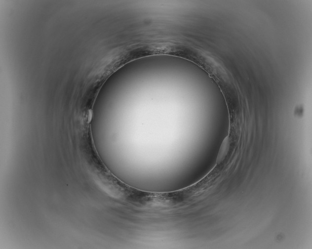 X0000090450601200707272217