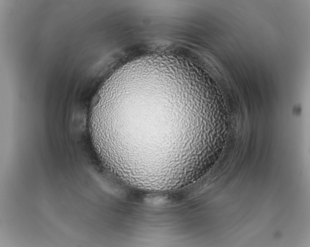 X0000090450602200707272217