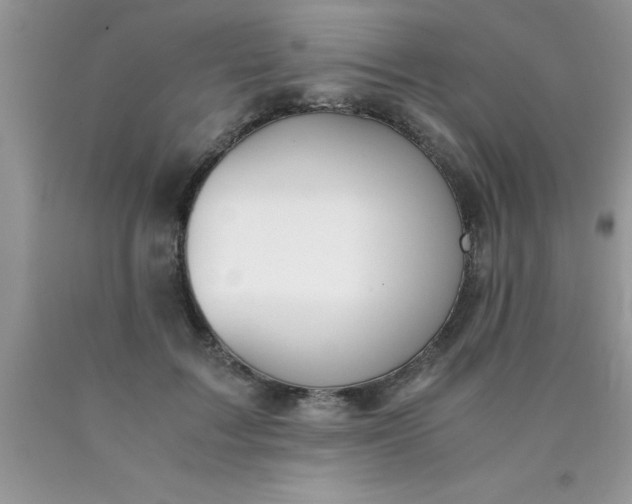 X0000090450603200707272217