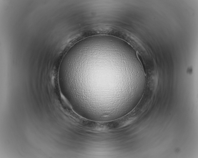 X0000090450604200707272217