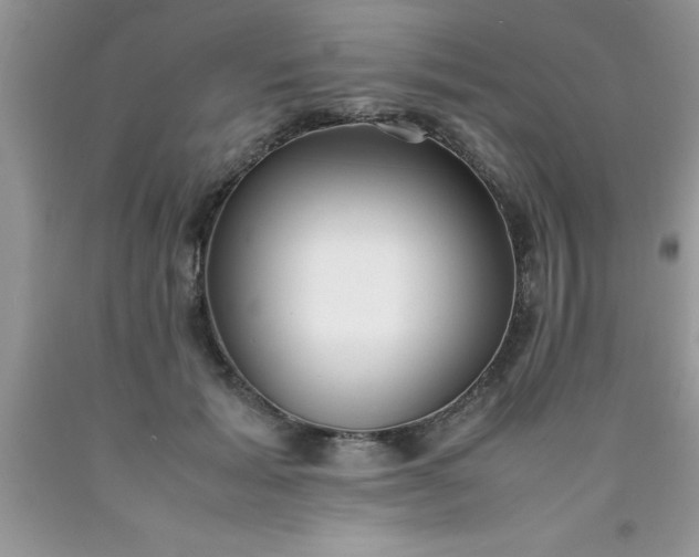 X0000090450605200707272217