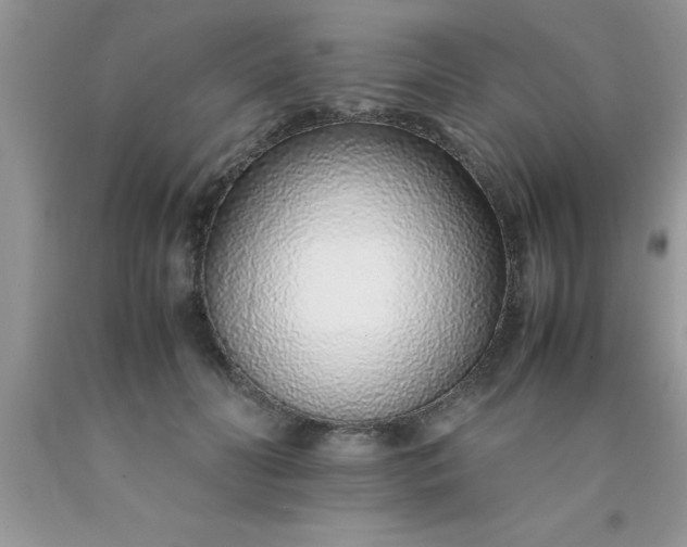 X0000090450606200707272217