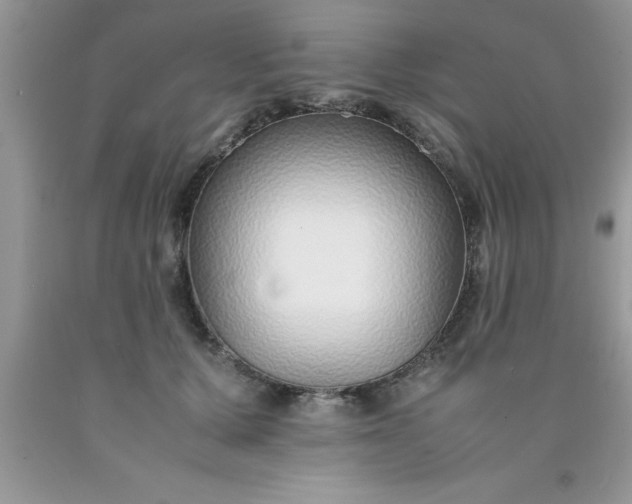 X0000090450607200707272217